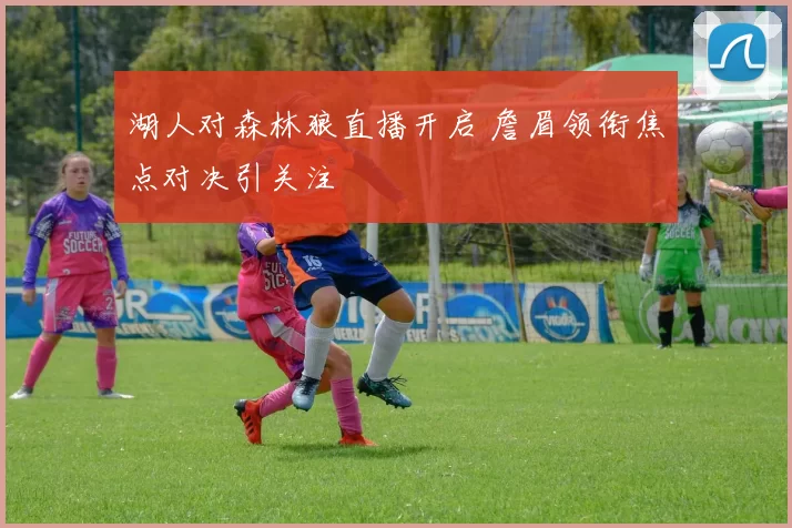湖人对森林狼直播开启 詹眉领衔焦点对决引关注
