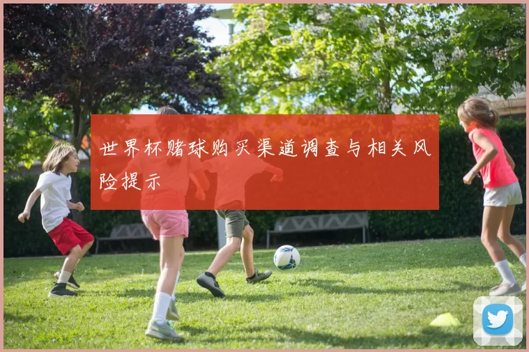 世界杯赌球购买渠道调查与相关风险提示