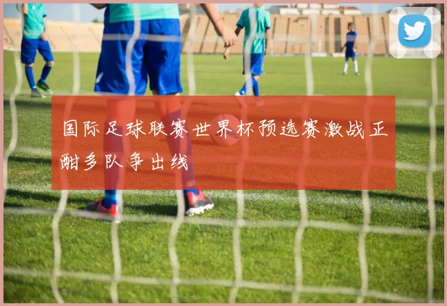 国际足球联赛世界杯预选赛激战正酣多队争出线