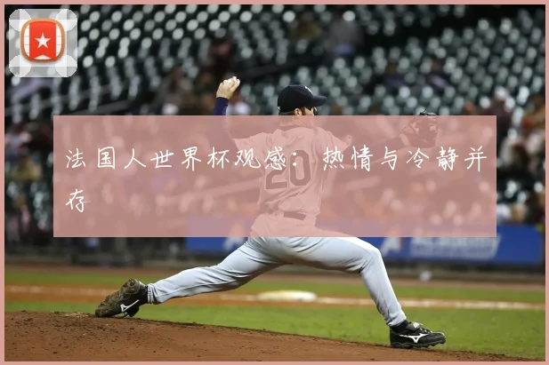 法国人世界杯观感：热情与冷静并存