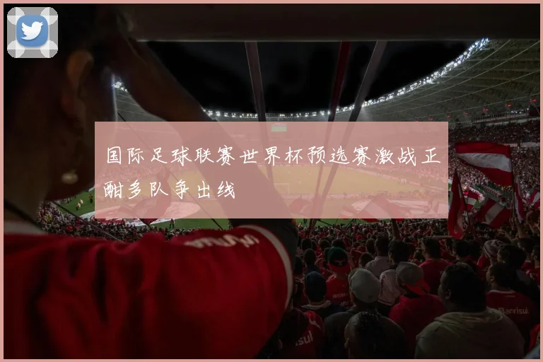 国际足球联赛世界杯预选赛激战正酣多队争出线